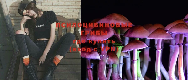молекула духа Пересвет
