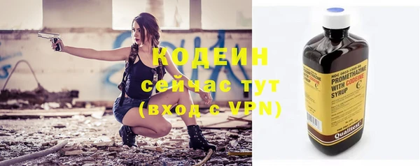 молекула духа Пересвет