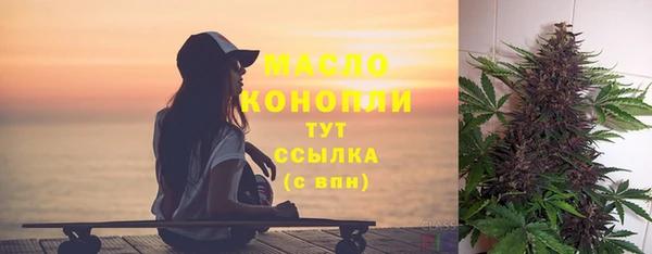 молекула духа Пересвет