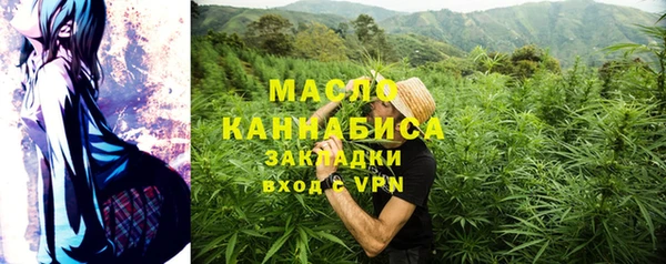 молекула духа Пересвет
