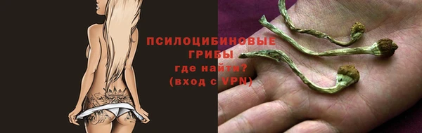 молекула духа Пересвет