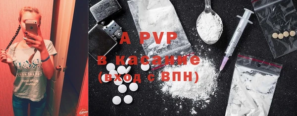 молекула духа Пересвет