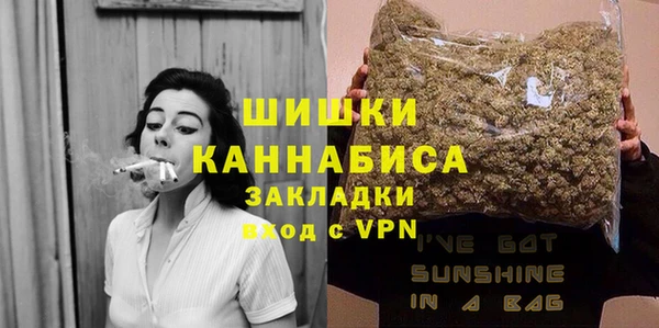 дживик Пестово