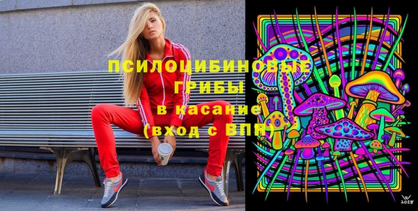 молекула духа Пересвет