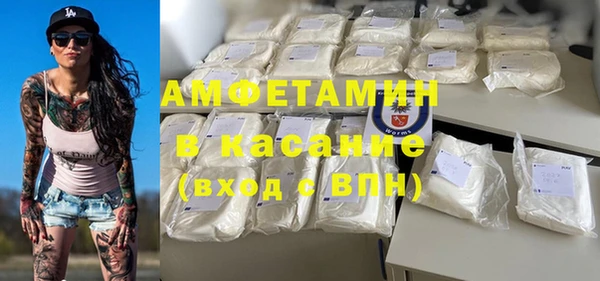 молекула духа Пересвет